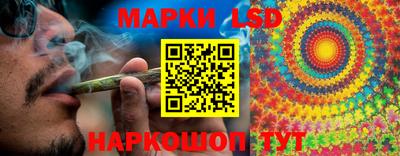 мдпв Камышлов