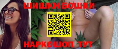 мдпв Камышлов