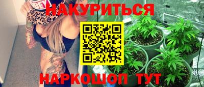 стаф Кандалакша