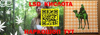 мдпв Камышлов