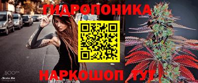 мдпв Камышлов