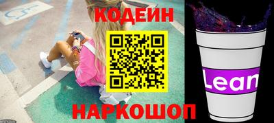 мдпв Камышлов