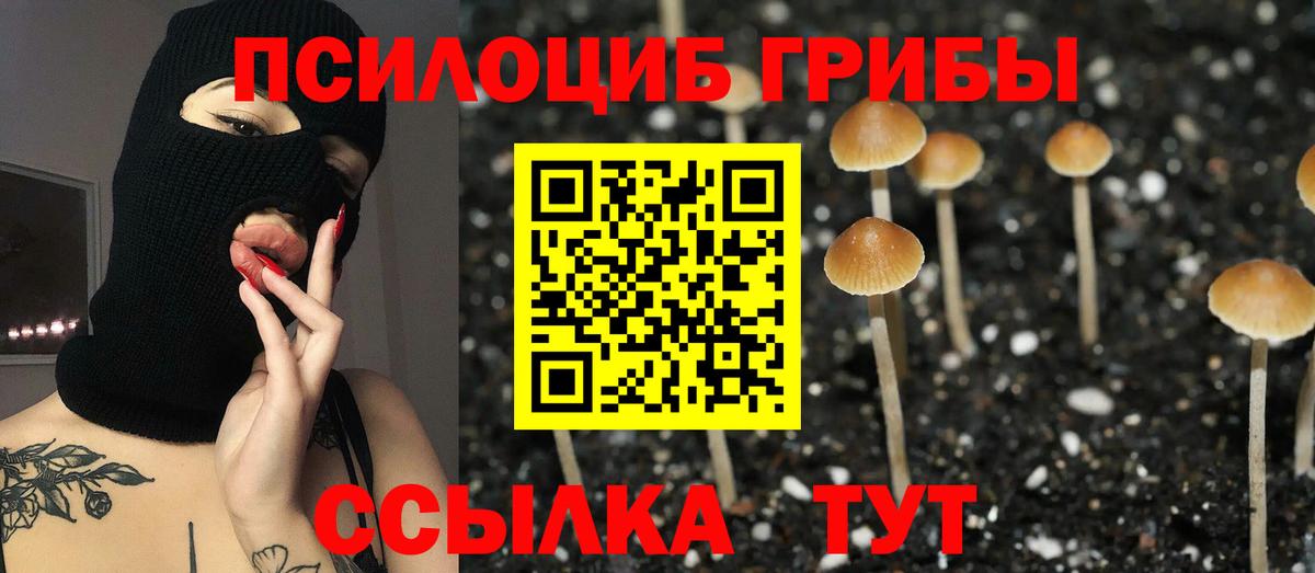 Фрязино  Псилоцибиновые грибы MAGIC MUSHROOMS  Псилоцибиновые грибы ЛСД  Вход с VPN 
