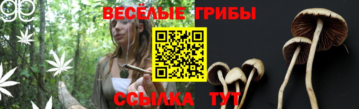 Псилоцибиновые грибы MAGIC MUSHROOMS Фрязино